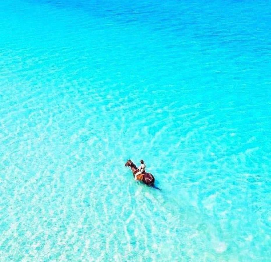 Safaya Luxury Villas - Adults Only Nungwi Εξωτερικό φωτογραφία
